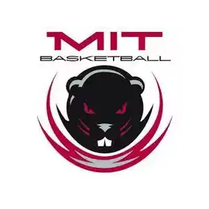 MIT Engineers