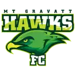 Mount Gravatt Hawks