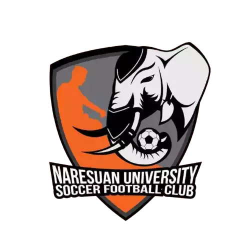Naresuan University
