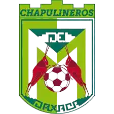 Чапулинерос Оакаса II