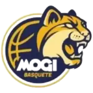 Моги дас Крузес 