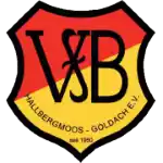 VFB Hallbergmoos