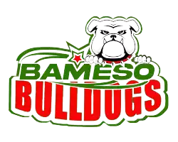 Bameso Bulldogs U22