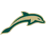 Джексонвилл Долфинз