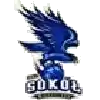 MKS Sokol Miedzychod
