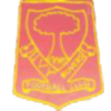 Ivy Rovers