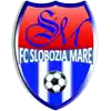 FC Slobozia Mare