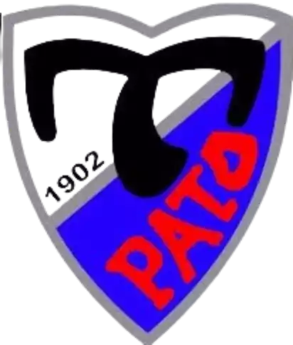 Tervakosken Pato