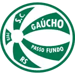Gaucho Passo Fundo