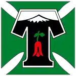 Депортес Темуко