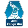 ACS Targu Jiu