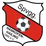 SpVgg Hankofen-Hailing