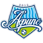 Afips FC