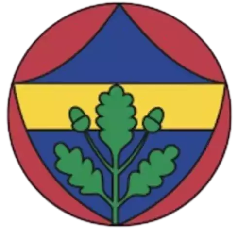 Fenerbahce (kirman)