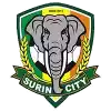 Surin City
