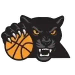 Райффайзен Фюрстенфельд Пантерз