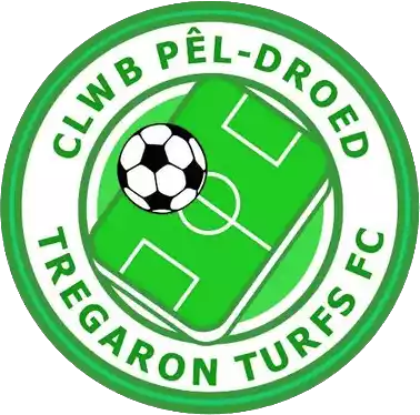 Tregaron Turfs FC