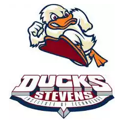 Stevens Tech Ducks