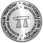 ФК Партизан Косовска Митровица
