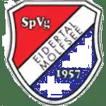 Spvg Eidertal Molfsee