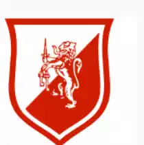 team_logo