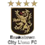 Bankstown City FC U20