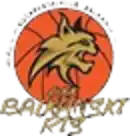 Балканский Рис