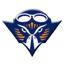 Đội bóng đá nữ UT Martin Skyhawks