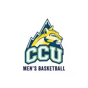 Đội bóng Colorado Christian Cougars