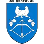 Drogichin