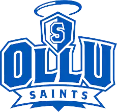 Our Lady Of The Lake Saints