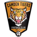 Camden Tigers U20
