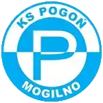 Погонь Могильно