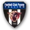 FC Puuma