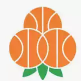 A3 Basket Umea (Women)