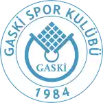 Gaskyspor