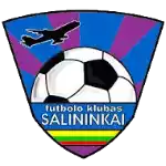 Салининкаи