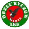 Orzel Ryczow