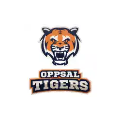 Oppsal Basket