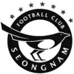Seongnam Ilhwa Chunma