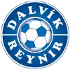 Dalvik Reynir 19