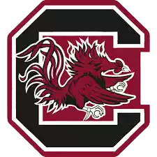 South Carolina Gamecocks