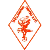 Wellington United AFC