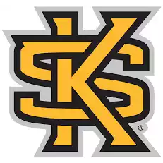 Kennesaw State Owls