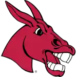 Central Missouri Mules
