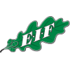 EIF Academy