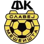 FK Slavej