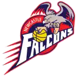 Newcastle Falcons