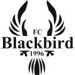 Jyvaskyla Blackbird