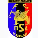 MSA
